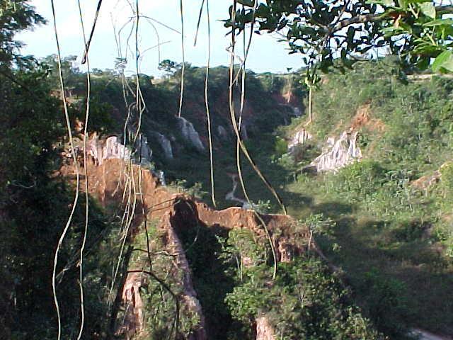 Pousada Fazenda Buracao Mococa Luaran gambar