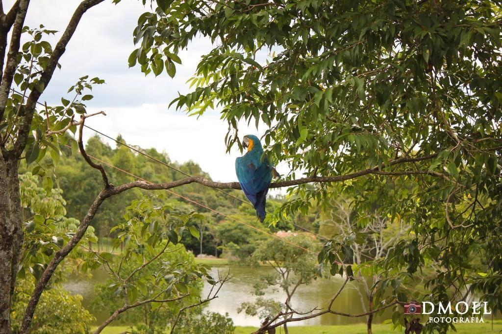 Pousada Fazenda Buracao Mococa Luaran gambar